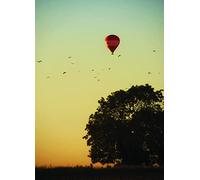 A set of 50 beautiful large high quality picture cards that invoke emotions, memories and stimulate deep thinking, and create a foundation for great ... ice-breaker to start your meeting off.: 1