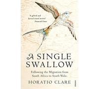 A Single Swallow: Following An Epic Journey From South Africa To South Wales [Lingua Inglese]