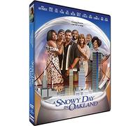 A Snowy Day In Oakland