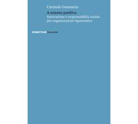 A somma positiva. Innovazione e responsabilità sociale per organizzazioni ...
