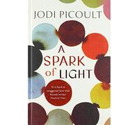 A Spark of Light: THE NUMBER ONE SUNDAY TIMES BESTSELLER