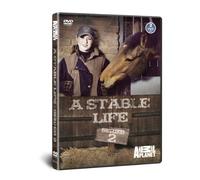 A Stable Life Series 2 [DVD] [Edizione: Regno Unito]