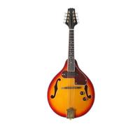 A-Stile Mandolino Acustico Mandolino Elettrico A 8 Corde Strumento Melodico Classico Un Mandolino Elettrico In Stile Con Zaino In Tessuto(Mandolin)