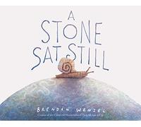 A Stone Sat Still: Brendan Wenzel: 1