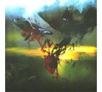 Storm Of Light - And We Wept The Black Ocean Within