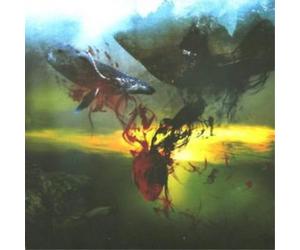 A Storm Of Light And We Wept the Black Ocean Within (CD) Album