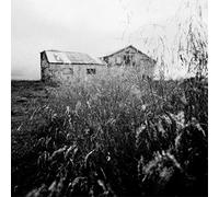 A-Sun Amissa You Stood Up for Victory, We Stood Up for Less (CD) Album