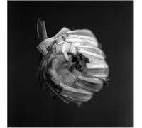 A Swarm of the Sun An Empire (CD) Album
