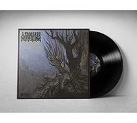 A Thousand Suffering - Stilte