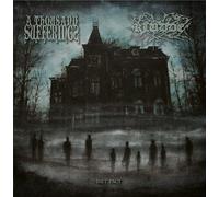 A Thousand Sufferings/Kludde Het Pact (Misty Bog) (Vinyl LP)
