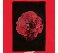 A Thousand Years In Another Way - Activity (Vinile)
