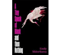 A Tiny Speck of Black and Then Nothing