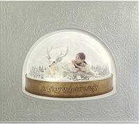 A Tiny Winter Story(初回限定盤 2CD+DVD+PHOTOBOOK)