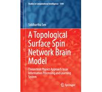 A Topological Surface Spin Network Brain Model: Theoretical Physics Approach to an Information Processing and Learning System