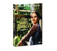 A Tree Grows in Brooklyn (1945) (Region code : all) by Dorothy McGuire