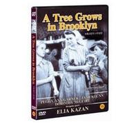 A Tree Grows In Brooklyn