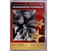 A Tree Grows in Brooklyn_Region 2_Elia Kazan_EU-Import with original Engli (DVD)