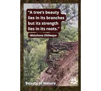 A Tree’s Beauty Lies in Its Branches but Its Strength Lies in Its Roots. Notebook for Nature Lovers.: Softcover, Lined 100 Pages, 6x9".