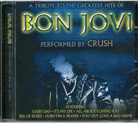 A Tribute to Bon Jovi