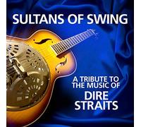 Sultans Of Swing A Tribute To Dire Straits (Vinyl LP)