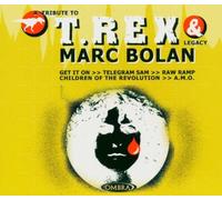 A Tribute to T.Rex