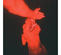 Eli Winter A trick of the light (Vinyl LP) 12" Album