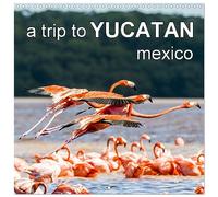 a trip to YUCATAN mexico (Wall Calendar 2026 12 × 12 Inch) CALVENDO 12 Month Wall Calendar: Travel images of Mexico's Yucatan Peninsula
