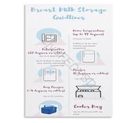 A Truly Ultimate Educational Gift Lactation Reference Poster Breast Milk Storage Chart for New Pumping Moms(Framed,12x18inch(30x45cm))