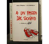 A un passo dal sogno. Il romanzo di «Amici»