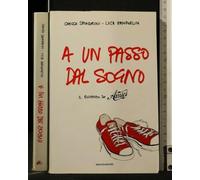 A un passo dal sogno. Il romanzo di «Amici»