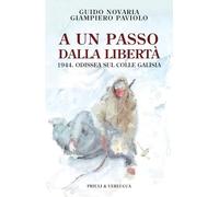 A un passo dalla libertà. 1944. Odissea sul colle Galisia