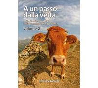 A un passo dalla vetta. I più affascinanti trekking sull'Appennino delle 4 province. Vol. 2