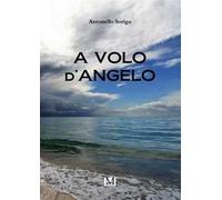 A volo d'angelo