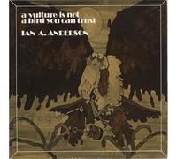 Ian A. Anderson A Vulture Is Not a Bird You Can Trust (Vinyl LP) 12" Album