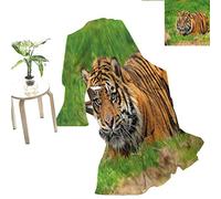 A Walk With Blind Boy (The Songs Of Blind Boy Full