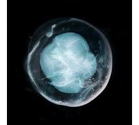 A Winged Victory For Sullen - The Undivided Five