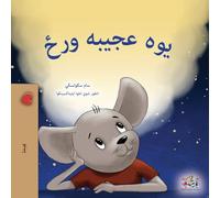 A Wonderful Day (Pashto Children's Book)