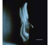 Tom Odell - A Wonderful Life (LP)