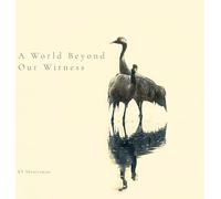A World Beyond Our Witness