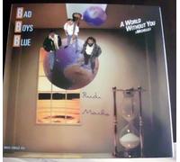 A world without you (1988) / Vinyl Maxi Single [Vinyl 12'']