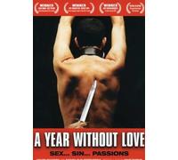 A Year Without Love