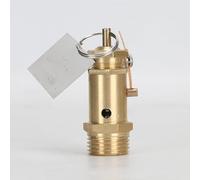 A21W-16t. Valvola di sicurezza della valvola di sicurezza del compressore Valvola di sicurezza della valvola di sicurezza for il generatore di vapore della caldaia elettrica/carbone antincendio 1/2(