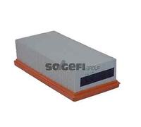 A2448 TECNOCAR Filtro aria per CITROËN,DS,OPEL,PEUGEOT,VAUXHALL