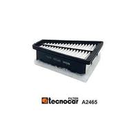 A2465 TECNOCAR Filtro aria per RENAULT