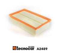 A2489 Filtro aria Tecnocar