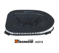 A2519 Filtro aria Tecnocar