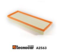 A2563 Filtro aria Tecnocar