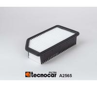 A2565 Filtro aria Tecnocar