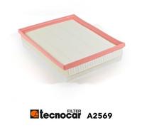 A2569 Filtro aria Tecnocar