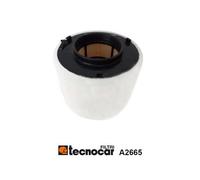 A2665 Filtro aria Tecnocar